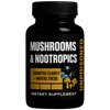 Mushrooms & Nootropics