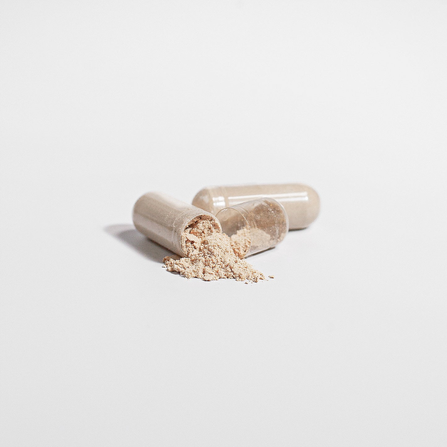Chaga Prime 1000 mg.
