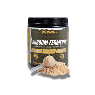 Shroom Fermento