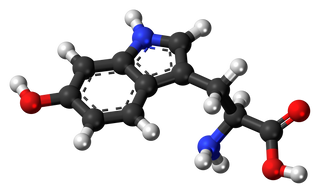 5-HTP (5-Hydroxytryptophan)
