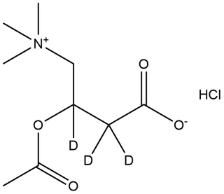 Acetyl-L-Carnitine (ALCAR)