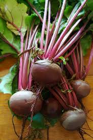 Beet Root