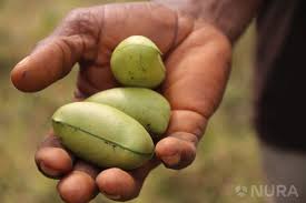 5-Hydroxytryptophan (5-HTP)