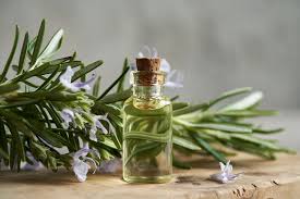 Rosemary Extract