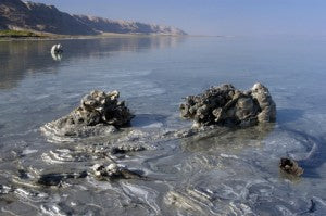 Dead Sea Mud