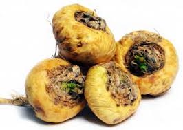 Yellow Maca Root